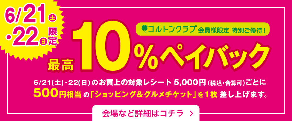 10％ペイバック