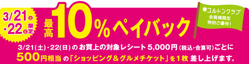 10％ペイバック
